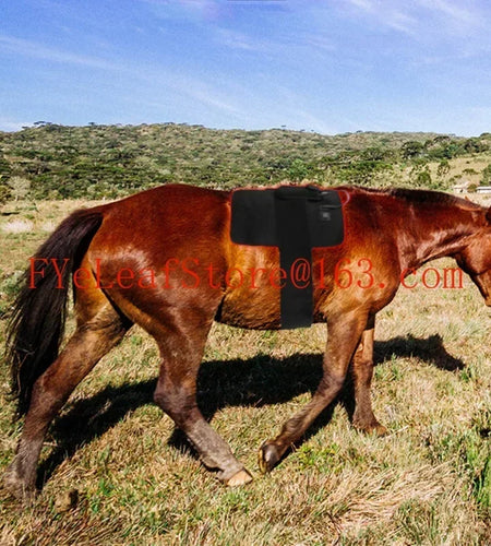 Red Infrared Light Therapy for Pets - 660nm 850nm Animal Pain Relief Devic