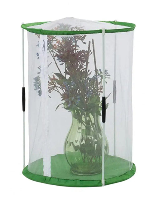 Load image into Gallery viewer, Indoor Plant Greenhouse &amp; Butterfly Habitat - Reusable Observation Cage
