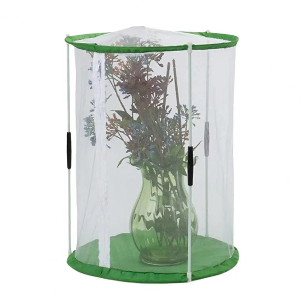 Indoor Plant Greenhouse &amp; Butterfly Habitat - Reusable Observation Cage