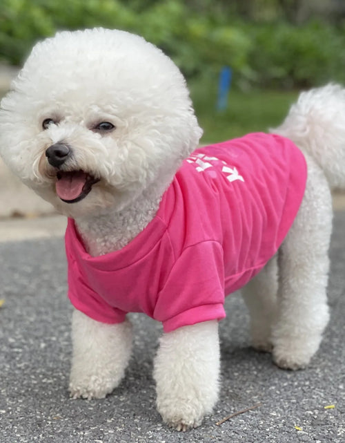 Load image into Gallery viewer, Summer Dog Shirts for Small Dogs - Chihuahua T-Shirt &amp; Puppy Vest
