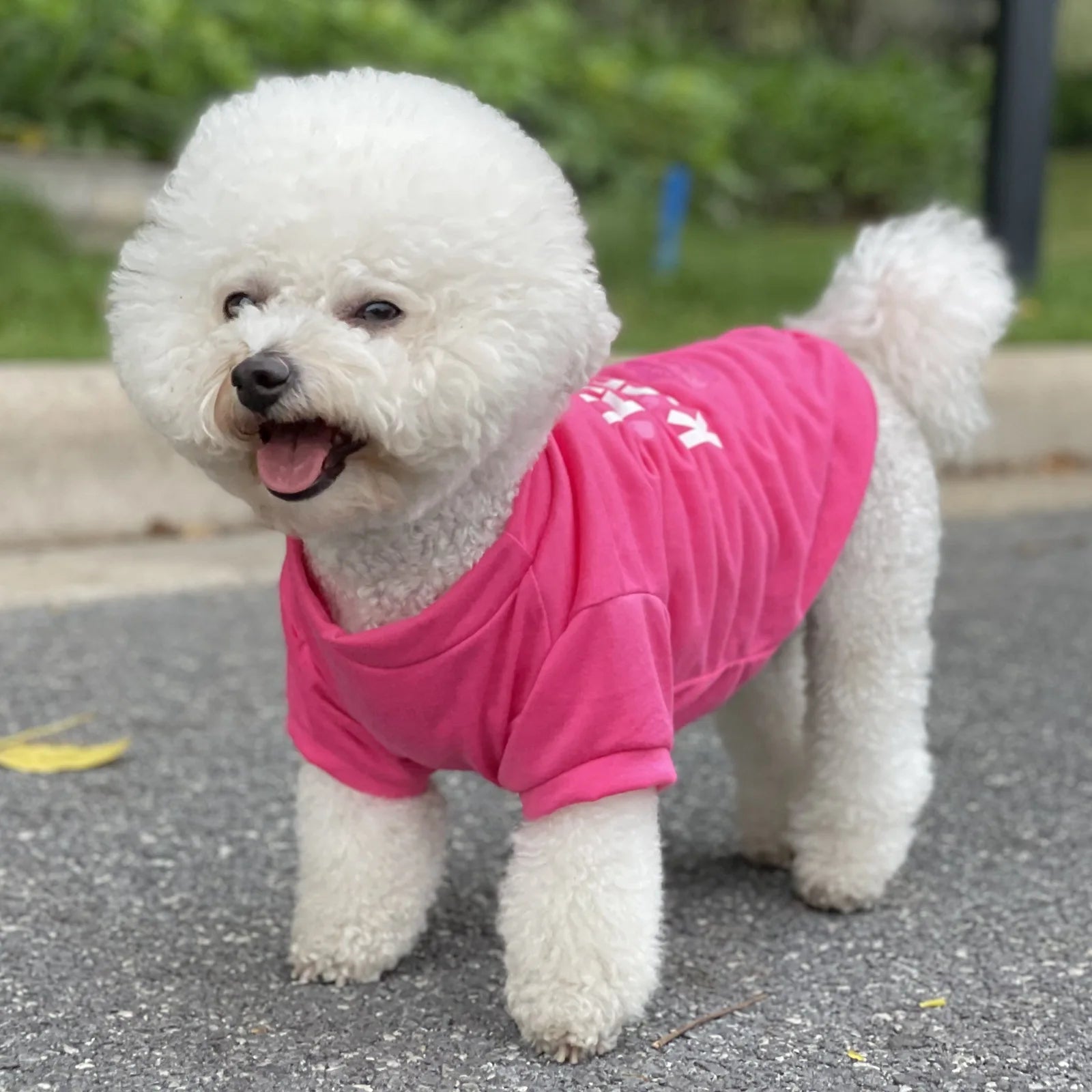 Summer Dog Shirts for Small Dogs - Chihuahua T-Shirt &amp; Puppy Vest