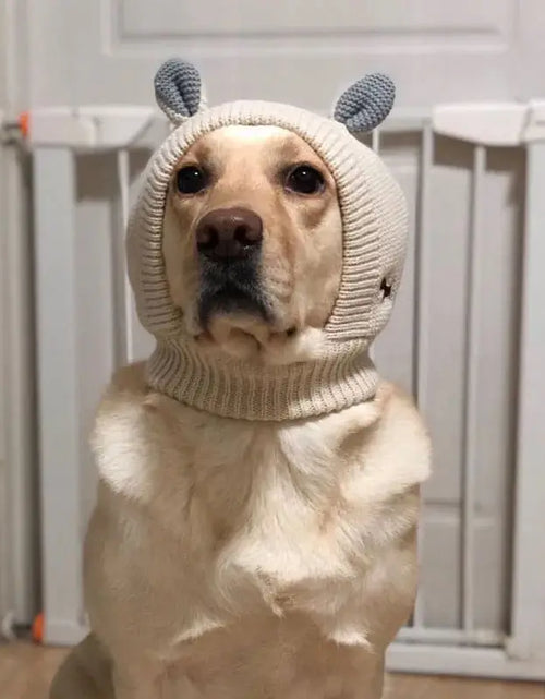 Load image into Gallery viewer, Winter Warm Big Dog Hat Cap Thickened Knit Pet Headwear Headgear for Medium Large Dogs Labrador mascotas Costume Accessories
