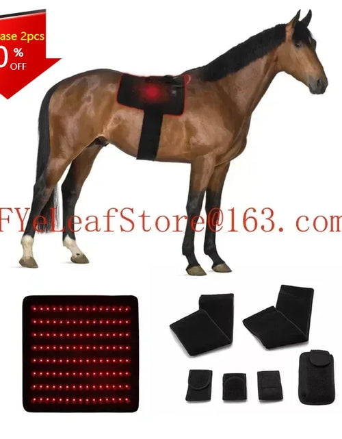 Load image into Gallery viewer, Red Infrared Light Therapy for Pets - 660nm 850nm Animal Pain Relief Devic

