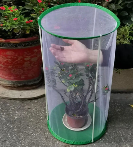 Indoor Plant Greenhouse &amp; Butterfly Habitat - Reusable Observation Cage
