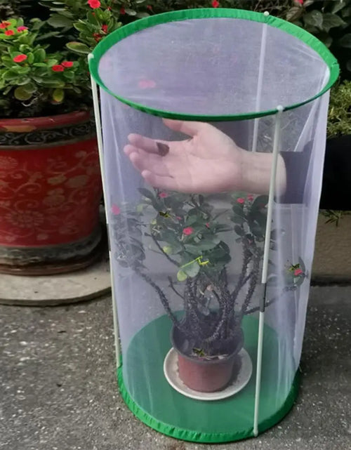 Load image into Gallery viewer, Indoor Plant Greenhouse &amp; Butterfly Habitat - Reusable Observation Cage
