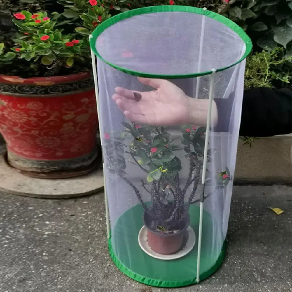 Indoor Plant Greenhouse &amp; Butterfly Habitat - Reusable Observation Cage