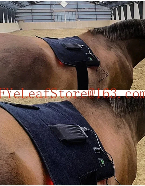 Load image into Gallery viewer, Red Infrared Light Therapy for Pets - 660nm 850nm Animal Pain Relief Devic
