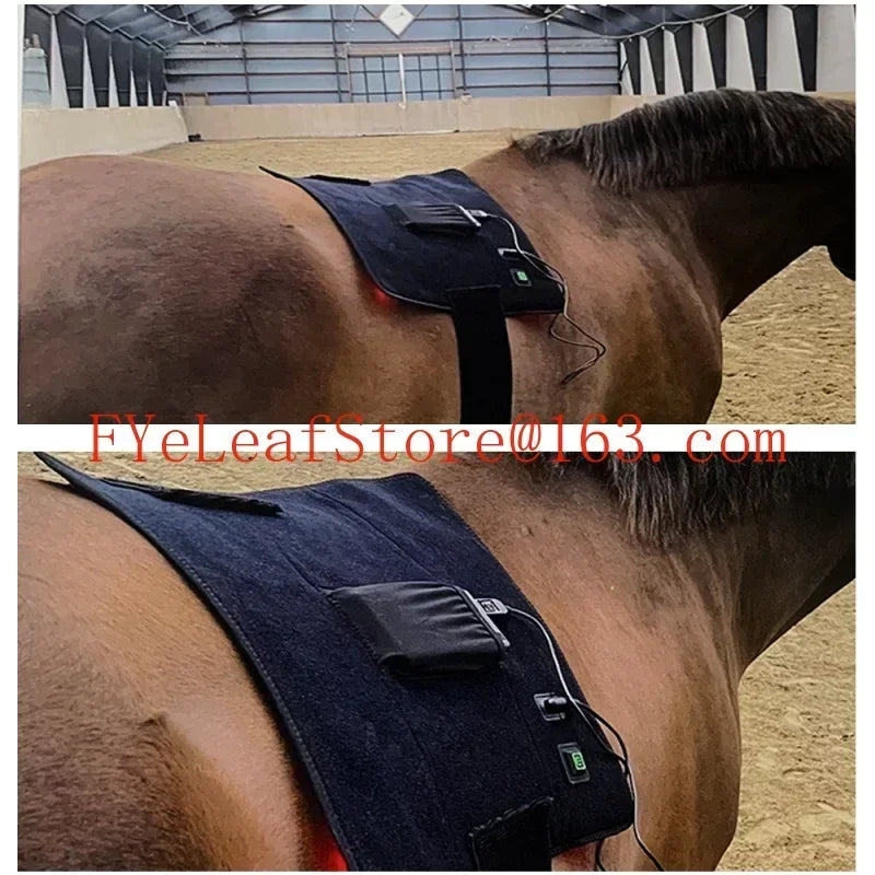 Red Infrared Light Therapy for Pets - 660nm 850nm Animal Pain Relief Devic