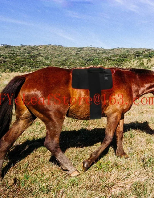 Load image into Gallery viewer, Red Infrared Light Therapy for Pets - 660nm 850nm Animal Pain Relief Devic
