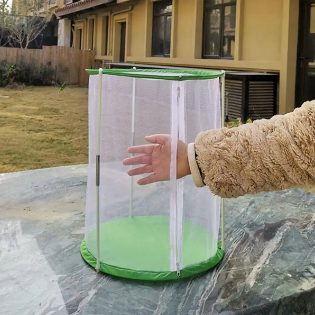 Indoor Plant Greenhouse &amp; Butterfly Habitat - Reusable Observation Cage