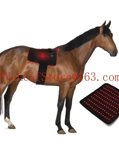 Load image into Gallery viewer, Red Infrared Light Therapy for Pets - 660nm 850nm Animal Pain Relief Devic
