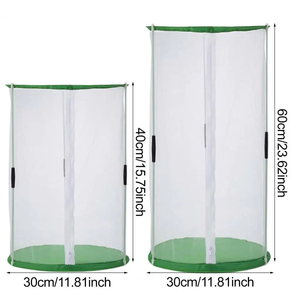 Indoor Plant Greenhouse &amp; Butterfly Habitat - Reusable Observation Cage