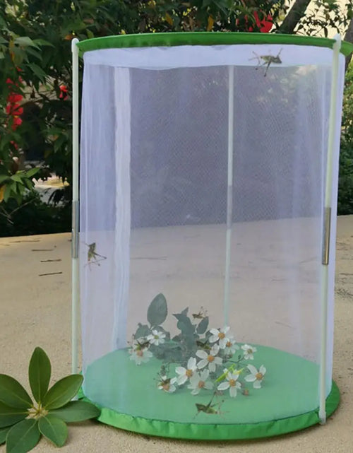 Load image into Gallery viewer, Indoor Plant Greenhouse &amp; Butterfly Habitat - Reusable Observation Cage
