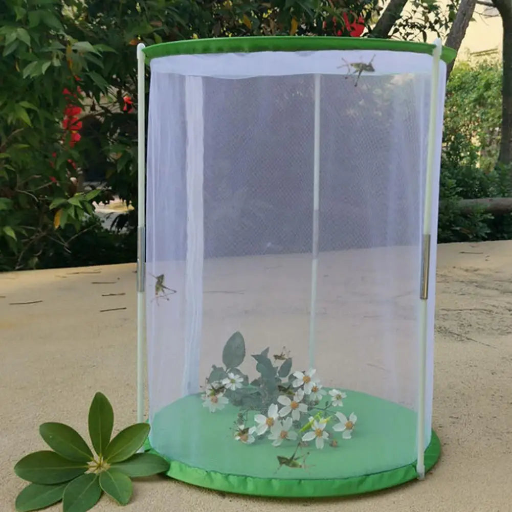 Indoor Plant Greenhouse &amp; Butterfly Habitat - Reusable Observation Cage